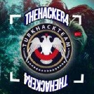 TheHacker4