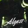 Algoss35