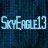 SkyEagle13